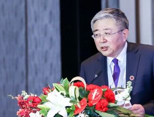 蔡咏：汽车行业重组优化已成必然趋势【第十六届中国并购年会回顾】