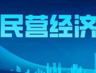 法治日报丨民营经济促进法出台备受期待 这是一颗激发活力提振信心的法治“定心丸”