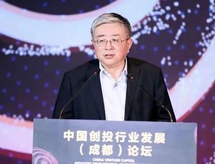 蔡咏：注册制下并购重组的政策环境变化及发展趋势