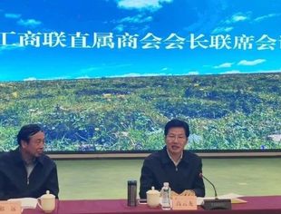 高云龙出席2020年度全国工商联直属商会会长联席会议
