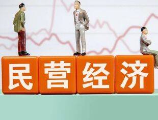 坚定不移落实“两个毫不动摇” 构建国企民企协同发展良好生态