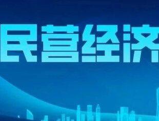 民营经济促进法立法成两会热点 代表委员期盼其为民企树信心立恒心