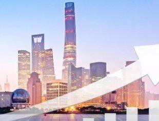 【大成调查】2024年上半年民营企业经营情况和发展环境调研