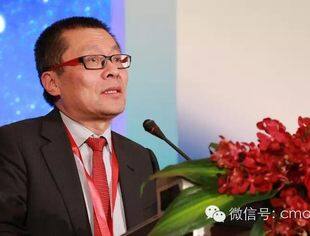 中国并购公会会长王巍“2015年产业整合的中国动力”讲演实录