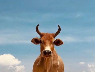 120亿,创新高!今日发行