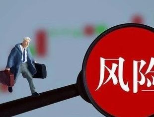 彭文生：对金融风险防控和处置的几点思考