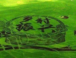 《中华人民共和国乡村振兴促进法》今起施行 乡村振兴战略迈入有法可依新阶段