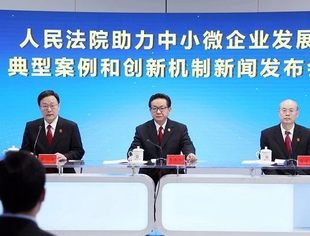 最高法发布人民法院助力中小微企业发展典型案例和创新机制
