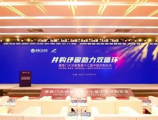2020定格精彩一刻！第十七届中国并购年会珍贵图片集锦