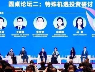 圆桌论坛：特殊机遇投资研讨 | 第二十一届中国并购年会回顾