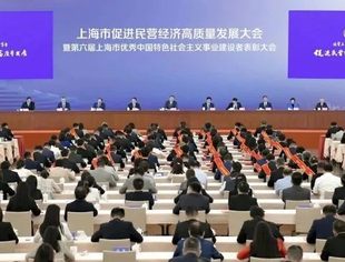 提振民企发展信心，优化民企发展环境！陈吉宁高云龙龚正出席上海市促进民营经济高质量发展大会暨表彰大会