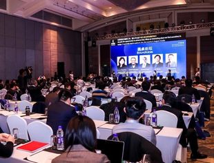 【并购年会跨境并购论坛举行】海外并购的推动与实践