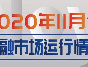 2020年11月份金融市场运行情况