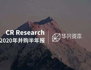 2020年并购半年报：并购谨慎、战投活跃，科技仍是巨头出手主战场
