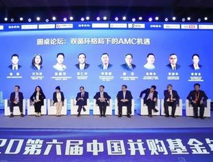 圆桌论坛：双循环格局下的AMC机遇 | 第六届中国并购基金年会