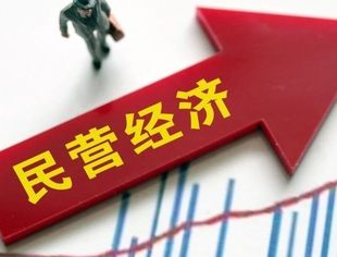 数说上半年民营经济：仍处于低谷，活力需激发