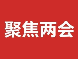 汪洋与民建、工商联界别政协委员共商国是