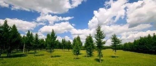 并购严监管风向再起 新重组委“开工”连否两家