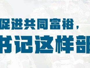 如何促进共同富裕，总书记这样部署