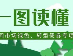 一图读懂银行间市场绿色、转型债券专项产品