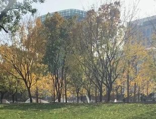 银保监会：加快建设中国金融人才库，为中小机构高质量发展提供人才保障