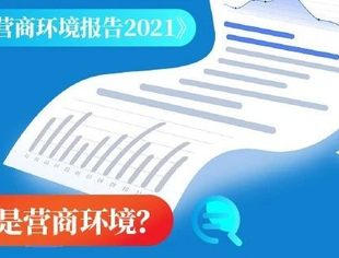 一图读懂 | 中国营商环境报告2021