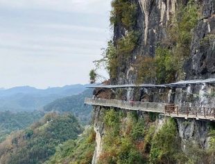 地方政府债务手册（2020年版）