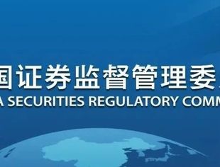 证监会发布《关于进一步发挥资本市场功能 支持受疫情影响严重地区和行业加快恢复发展的通知》