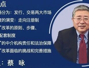 重磅视频上线｜蔡咏：宝剑锋从磨砺来—— 证券市场股票发行注册制改革研究