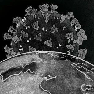 红杉向被投公司发布全体信:新冠疫情下,请做好最坏的打算