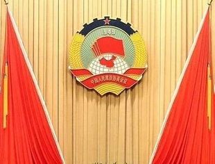 全国政协常委会工作报告：过去一年，突出重点地抓了四项工作