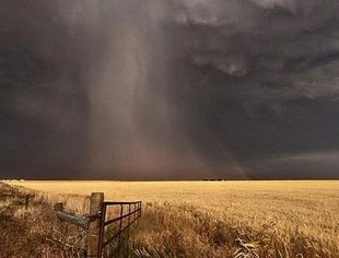 美国资产负债表的“三重坍塌”如何演绎——本轮危机与1929大萧条比较