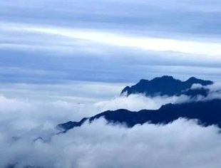 工商银行李峰：不畏疫情遮望眼 行稳求进方致远