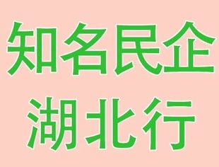 市长民企“云对话” 共谋湖北发展大计——知名民营企业湖北行“市（州）长会客厅”活动走进武汉黄冈仙桃孝感天门等地