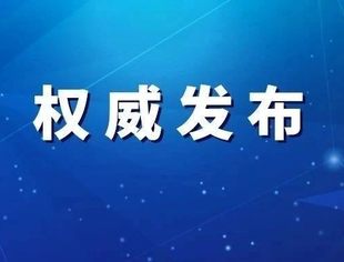 国家发展改革委办公厅 民政部办公厅关于积极发挥行业协会商会作用 支持民营中小企业复工复产的通知