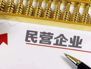 【聚焦两会】进一步鼓励支持民营企业参与国企混改