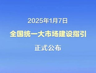 《全国统一大市场建设指引（试行）》全文