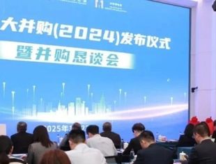 中国十大并购(2024) 发布仪式暨并购恳谈会圆满举办