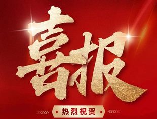 团体会员｜山东省并购联合会荣获山东省工商联2024年度“优秀直属商会”称号