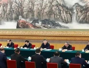 习近平：民营经济发展前景广阔大有可为 民营企业和民营企业家大显身手正当其时