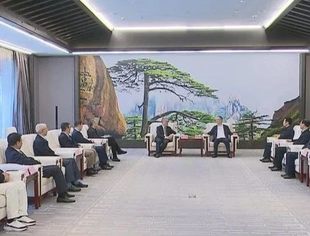 安徽省并购联合会成立 王清宪与全联并购公会嘉宾等参会代表座谈