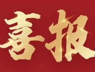 【会领导企讯】喜报 | 华信清算重组集团承办案例入选青岛法院破产审判典型案例