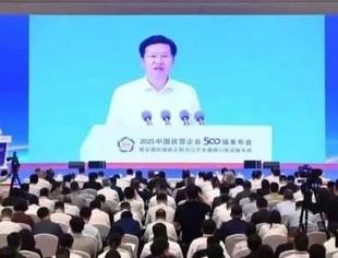 2025中国民营企业500强发布会暨全国优强民企助力辽宁全面振兴新突破大会在沈阳召开