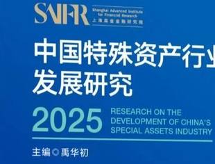 【理事企讯】中国特殊资产行业发展研究2025