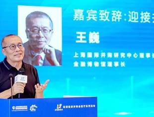 王巍：迎接并购的嘉年华 | 2025并购嘉年华回顾