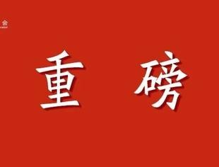 中国共产党第二十届中央委员会第四次全体会议公报