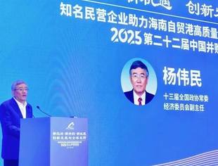 杨伟民:“十五五”时期,要确保经济增长在合理区间,形成消费拉动的经济发展模式,完善收入分配制度|第二十二届中国并购年会主旨演讲