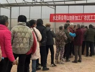 水北商会发放琴山油茶加工厂农民工工资