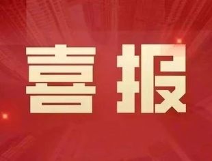 喜报！水北商会荣获2024年度全市优秀商会荣誉称号