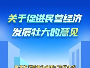 【政策解读】一图读懂 关于促进民营经济发展壮大的意见